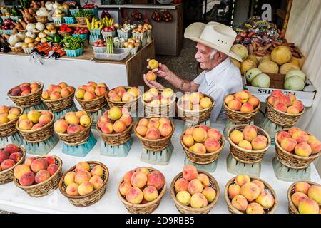 Louisiana Northshore,Abita Springs,farmers market produce fruit peaches vendor seller stall booth,locally grown senior man selling baskets, Stock Photo