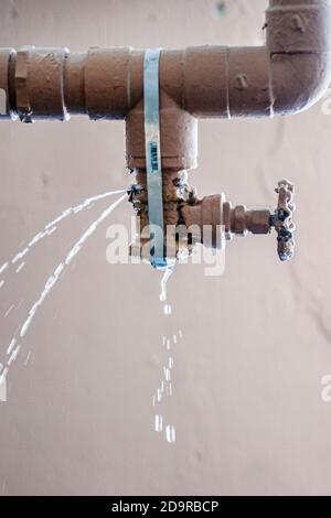 repair leak water pipe in under gypsum ceiling interior office building