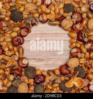 Autumn frame with brown hazelnuts, walnuts, acorns, chestnuts and beechnuts on a wooden background with copy space, top view Stock Photo