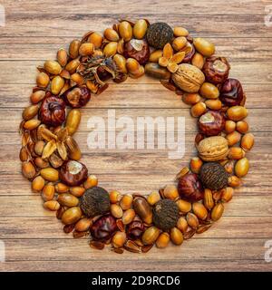 Autumn frame with brown hazelnuts, walnuts, acorns, chestnuts and beechnuts on a wooden background with copy space, top view Stock Photo