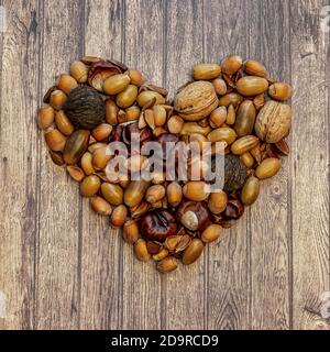 Autumn frame with brown hazelnuts, walnuts, acorns, chestnuts and beechnuts on a wooden background, top view Stock Photo