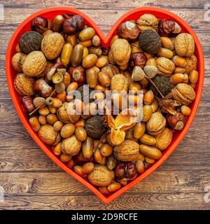 Autumn frame with brown hazelnuts, walnuts, acorns, chestnuts and beechnuts on a wooden background, top view Stock Photo