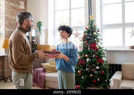 Young female with brown curly hair passing Christmas gifts to her husband Stock Photo