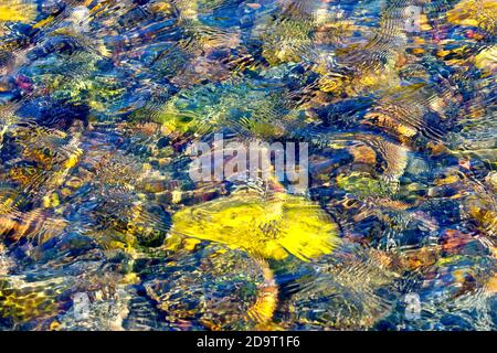 An abstract image created by the wind causing ripples on the surface of a rockpool on the beach, the rocks below the water lit by a low warm sunlight. Stock Photo