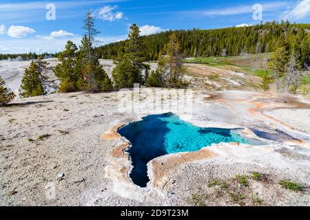 West Thumb Geyser Basin in Yellowstone National Park, Wyoming Stock Photo