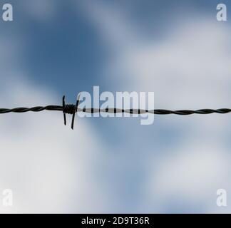 A dark, single barb on a barb wire fence against a partially cloudy sky. There is twisted wire on either side. There is room for text. Stock Photo