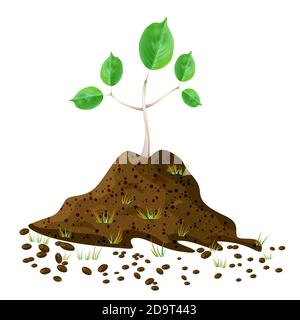 Seedling in soil pile isolated on white background. Pile of dirt and growing green sapling.Young tree growing in the ground.Arbor day.Earth day.Vector Stock Vector