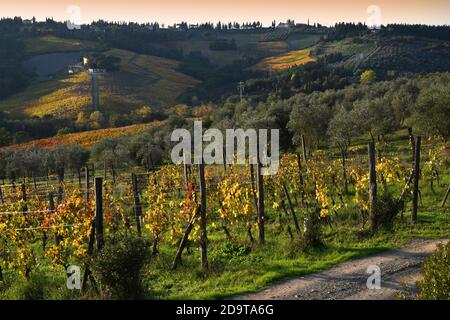 colorful vineyards at sunset during the autumn season in the Chianti Classico area near Greve in Chianti (Florence), Tuscany. Italy. Stock Photo