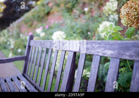 Wooden Bench on a Park Surrounded by Plants and Flowers Stock Photo