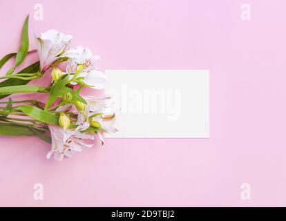 Business card on pink pastel background decorated Stock Photo