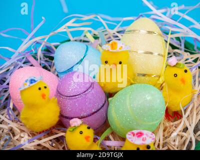 Easter Chicks and Eggs in Nest.concept of the Easter holiday and greeting cards. decorative chickens with Easter eggs Stock Photo