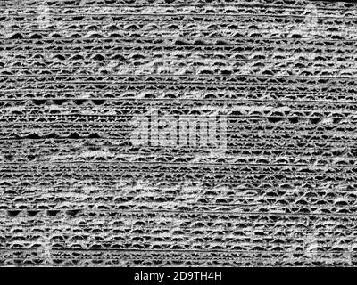 off white light grey corrugated cardboard texture useful as a background Stock Photo