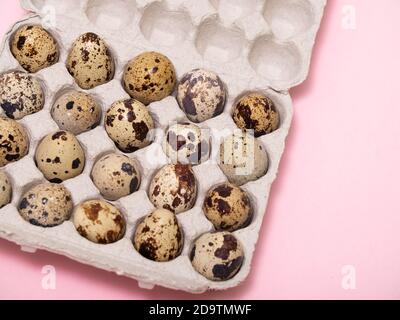 quail eggs in a cardboard egg box on pink background Stock Photo