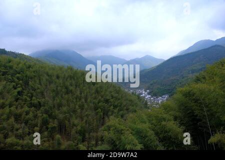 View of luxuriant bamboo forests in Mukeng Zhuhai, Mukeng Village valley and surrounding hills, in Huangshan City. Stock Photo