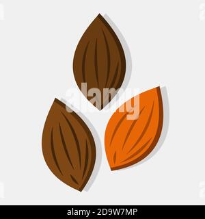 almond fruit vector illustration in flat style Stock Vector