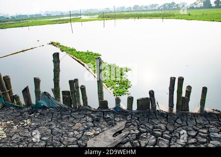 beautiful image of Common water hyacinth in the shape of Kerala state during Kerala piravi in front of dark mud road and bamboo on blur background Stock Photo