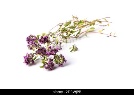 Sprigs of dried thyme close up isolated on white background Stock Photo