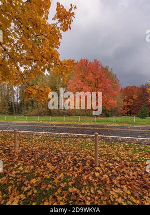 Seasonal changes Autumn colors in nature Oregon state. Stock Photo