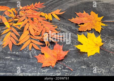 autumn, bright leaves on a black table. Concept of autumn, relaxation. High quality photo Stock Photo