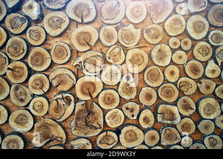 Top view of a lot of thick, chopped tree branches. table decor or details to the holiday. Stock Photo