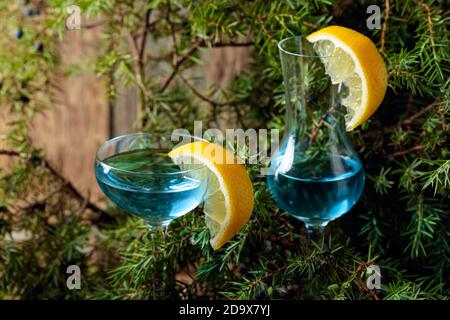 Glasses of gin garnished with lemon slices. Blue gin and juniper branches with berries. Stock Photo