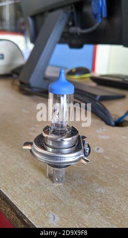 Reengus, Jaipur, India- 20 August, 2020; Halogen car headlight bulb with blue glass. Stock Photo
