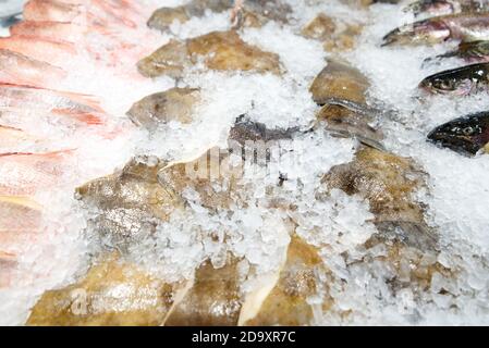 Various fresh fish lying on the ice on the counter Stock Photo