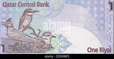 Qatari one riyal banknote closeup macro, Qatar money close up Stock Photo