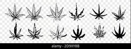Hand drawn marijuana, cannabis set collection Stock Vector