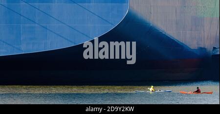 Hamburg, Germany. 08th Nov, 2020. Two kayakers paddle in front of the 'CMA CGM Jacques Saade', the world's largest container ship powered by natural gas, which is unloading cargo at Burchardkai terminal for the first time. Credit: Markus Scholz/dpa/Alamy Live News Stock Photo