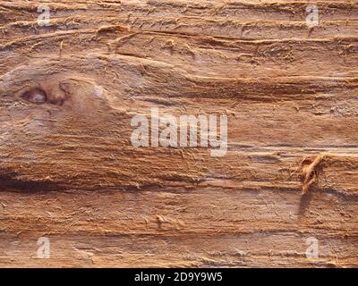 Grain eroded wood background, rough wooden texture, driftwood pattern Stock Photo