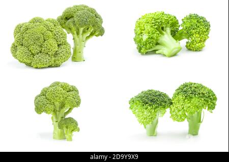 Collage of fresh green broccoli isolated on a white background with clipping path Stock Photo