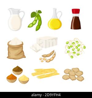 Set of different soy product in a flat cartoon style milk, oil, soy sauce, flour, tofu, miso, meat, tofu skin, sprouts vector  Stock Vector