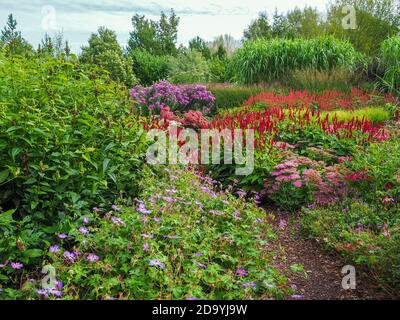 Colourful mixed flower beds in a garden in late summer Stock Photo