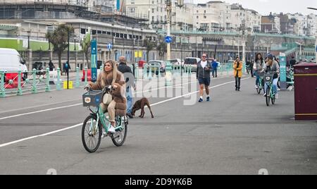 Brighton UK 8th November 2020 - Visitors enjoy some cycling exercise along Brighton seafront on the first weekend  since the latest coronavirus COVID-19 lockdown restrictions were introduced in England: Credit Simon Dack / Alamy Live News Stock Photo