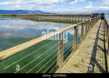 View of the floating bridge, with wetland landscape, in the Hula nature reserve, northern Israel Stock Photo