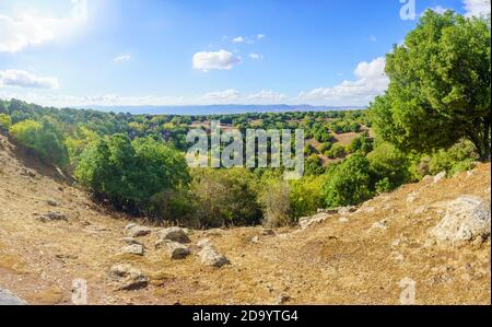 View of volcanic landscape and the Big Joba (Jupta, pit crater) in the Golan Heights, Northern Israel Stock Photo