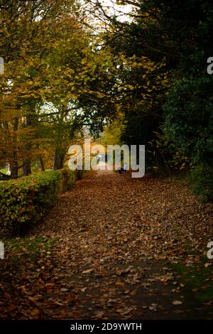 Autumn Trees in Alexandra Park, Hastings Stock Photo