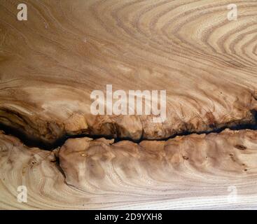 Artificial polished wooden surface with a big crack stylized as an ancient fossil Stock Photo