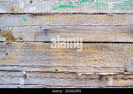 Old wooden boards with nail, green paint stains on natural texture wood plank. Stock Photo
