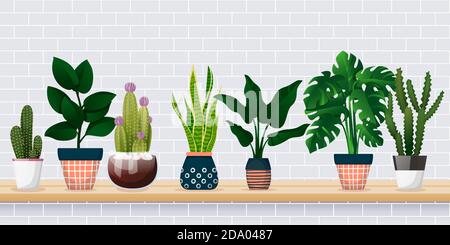 Home plants in decorative pots on shelf against white brick wall. House room decoration design elements. Banner background with copy space. Vector fla Stock Vector