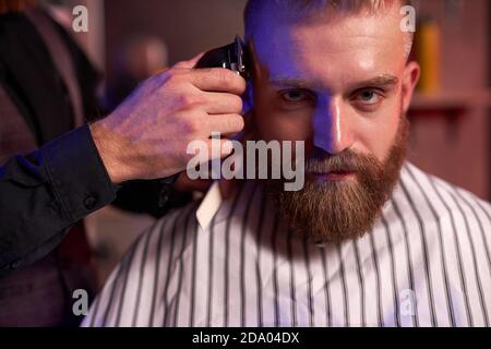 confident caucasian barber mster cuts hair and beard of men in the barbershop, professional hairdresser makes hairstyle for a young man, he works with clipper machine Stock Photo