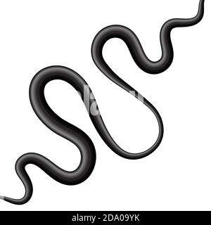 Coaxial Digital Cable Isolated on White Background Stock Vector