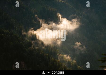 Wisps of clouds at the mountain forest in the morning sun, Bavaria, Germany Stock Photo