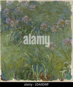 Claude Monet. (French, 1840-1926). Agapanthus. 1918-26. Oil on canvas. High resolution painting. Stock Photo