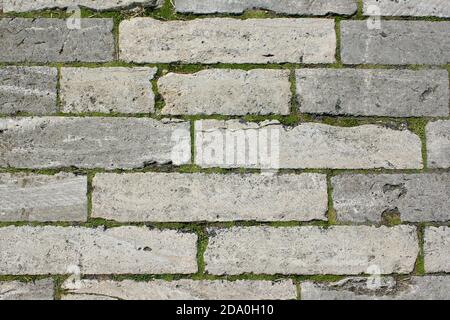Old brick texture with green moss. Vintage background with grey brick. Old grey brick wall. Stock Photo