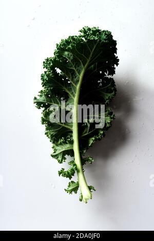 Green curvy kale leaves on white background Stock Photo