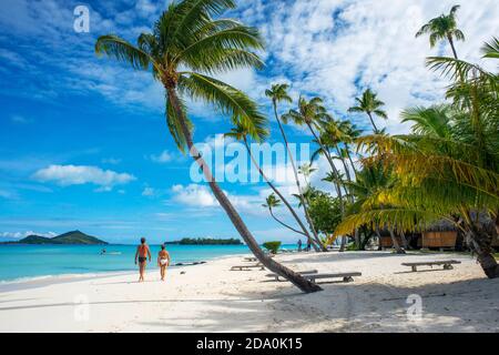 Palms in the beach at Le Bora Bora by Pearl Resorts luxury resort in motu Tevairoa island, a little islet in the lagoon of Bora Bora, Society Islands, Stock Photo