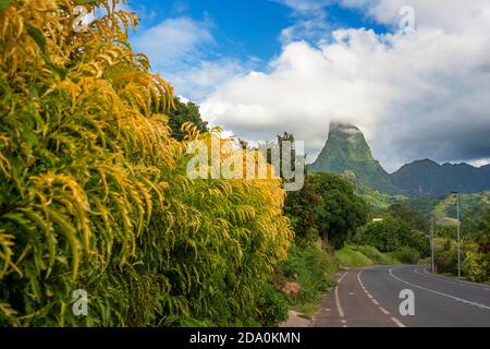 Road way in Cook's bay and Paopao valley in Moorea, French Polynesia, Society Islands, South Pacific. Cook's Bay. Stock Photo