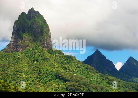 Peak, Highest peak, Mont Tohiea, 1207 m, Moorea, Society islands, Windward islands, French Polynesia Stock Photo